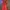 Luxury Casual dress Wanita red photo 1