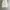 Dickies Vintage Y2K Jeans Pria white gray photo 1
