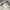 Dickies Vintage Y2K Jeans Pria white gray photo 7