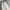 Dickies Vintage Y2K Jeans Pria white gray photo 2