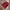 Nike Sportswear Casual Jersey Pria red photo 2