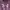 Under Armour Skater Casual Wanita purple photo 2