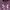 Under Armour Skater Casual Wanita Purple