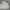 Japanese brand Skater Casual Formal shirt Pria white blue photo 1