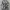 Y2K Casual Casual shirt Pria multicolor photo 1