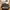Prada Vintage Luxury Bag Pria black photo 3