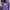 Levi's Casual Wanita Purple
