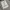 Japanese brand Streetwear Casual Denim jacket Pria white black photo 7