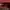 Furla Luxury Crossbody Bag Wanita red photo 5