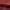 Furla Luxury Crossbody Bag Wanita red photo 3