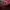 Furla Luxury Crossbody Bag Wanita red photo 4