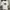 Hard Rock Cafe Vintage T-shirt Pria white photo 1