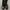 Dr. Martens Indie Casual Boots Pria black photo 3