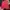Cross Colours Vintage Streetwear Short Pria red photo 1