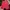 Cross Colours Vintage Streetwear Short Pria red photo 2
