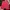 Cross Colours Vintage Streetwear Short Pria Red