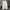 Adidas Sportswear Short Pria white black photo 2