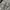 Johnny Blaze Vintage Streetwear Short Pria silver photo 3
