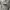 Johnny Blaze Vintage Streetwear Short Pria silver photo 5