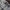 Karl Kani Vintage Streetwear Jeans Pria blue photo 3