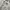 Y2K Casual Casual shirt Pria white blue photo 2