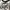 Shein Streetwear Y2K Crop top Wanita white black photo 4
