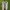 Nike Streetwear Skater Sneakers Pria silver photo 2