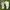 Nike Streetwear Y2K Sneakers Pria white blue photo 1