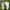 Nike Streetwear Y2K Sneakers Pria White Blue