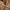 Shein Vintage Y2K Crop top Wanita brown photo 5