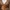 Shein Vintage Y2K Crop top Wanita brown photo 4