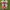 Nike Skater Casual Sneakers Pria red gray photo 2