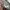 Japanese brand Streetwear Y2K Casual pants Pria multicolor gray photo 2