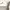 Shein Y2K Casual Crop top Wanita white photo 5