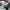 Adidas Casual Sneakers Pria white green photo 6