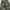 Japanese brand Streetwear Y2K Casual pants Pria multicolor green photo 6