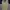 Coquette Casual Casual dress Wanita cream yellow photo 1