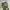 Stussy Vintage Y2K Dungaree Pria green black photo 4