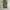 Stussy Vintage Y2K Dungaree Pria green black photo 1