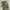 Stussy Vintage Y2K Dungaree Pria green black photo 2