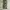 Stussy Vintage Y2K Dungaree Pria green black photo 3