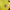Adidas Sportswear T-shirt Pria yellow photo 4