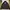 Nike Y2K Sportswear Windbreaker Pria Brown Yellow