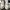 Airwalk Casual Sneakers Pria white gray photo 4