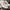 Airwalk Casual Sneakers Pria white gray photo 3