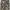 Another Shop Vintage Streetwear Pria tan photo 6