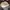Airwalk Casual Hat Pria white photo 6