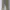 Polo Ralph Lauren Streetwear Casual Casual pants Pria tan khaki photo 3