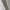 Polo Ralph Lauren Streetwear Casual Casual pants Pria tan khaki photo 4