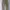 Polo Ralph Lauren Streetwear Casual Casual pants Pria tan khaki photo 2